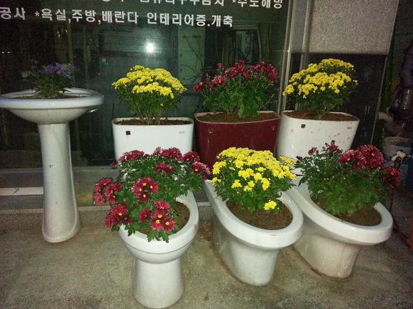 dpthal2013's tweet photo. 변기의 대변신 😆 http://t.co/J8bHQbn3dT