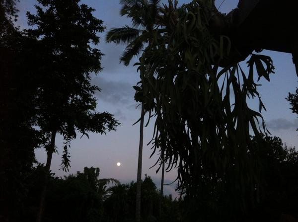 CurtisSChin's tweet photo. Good night, #Moon.
At @liyerhouse #Bali #Indonesia. http://t.co/UzoSRPbkDH