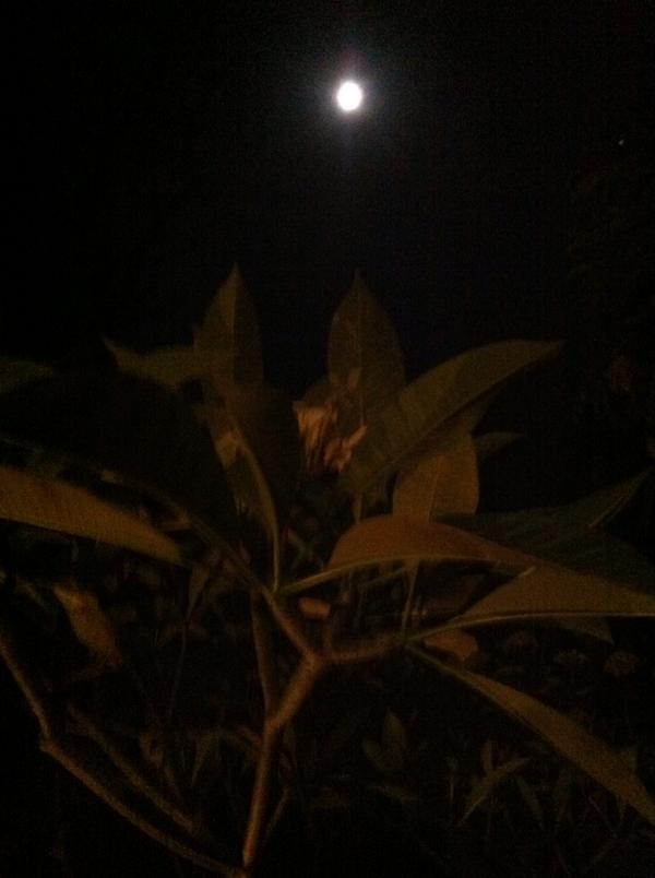 CurtisSChin's tweet photo. Good night, #Moon.
At @liyerhouse #Bali #Indonesia. http://t.co/UzoSRPbkDH