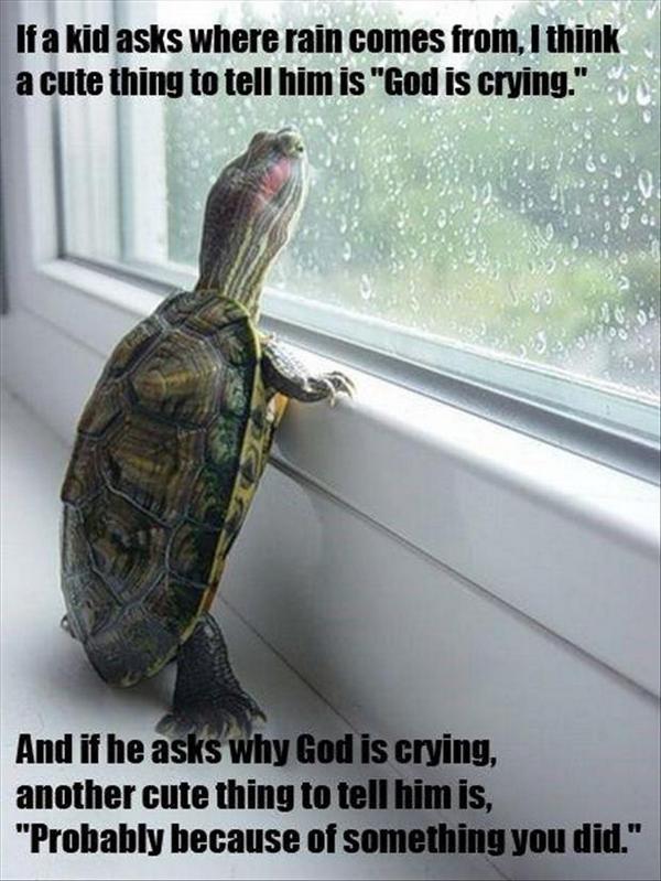 funnylol15's tweet image. this is mean but cute and a little funny   :)