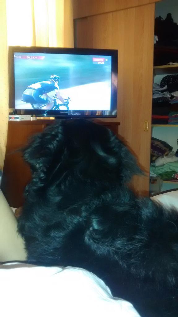 DIEGOMa's tweet photo. #LaVueltaxESPN vamos rigoooo con asha te hacemos fuerza @BernesdeMontana http://t.co/ck0GAB1Eia