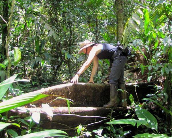 AmphibiaWeb's tweet image. Also #biologistproblems but a good one MT @bezanswer: tricky to simultaneously look up/down #IAmANaturalist