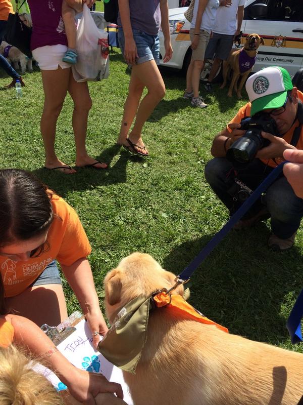 LokiDoberdog's tweet photo. Shes modelling and painting and fundraising all at the same time. #multitalented #OHSWalkRun @Kenzi_and_Troy http://t.co/Fc98U3DsFa