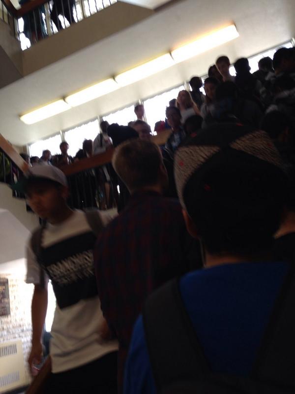 shortshark's tweet image. Daily tears #frcproblems