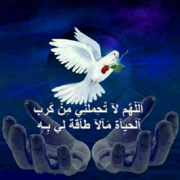VI2i2's tweet photo. http://t.co/sml7LjNCbO
