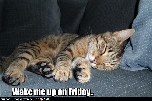 NatPetMonthUK tweet picture