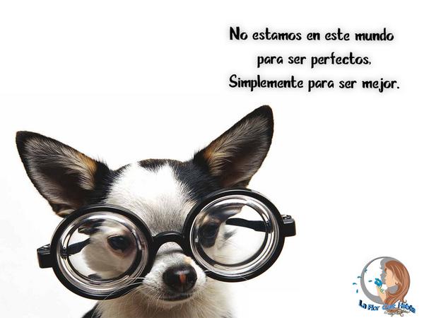 laflorquehabla's tweet image. Feliz comienzo de semana para todos. @Ana_Fernandez25  @eprestera @diazgreys  @melanieleon28 @supermaleok @cmndnt_