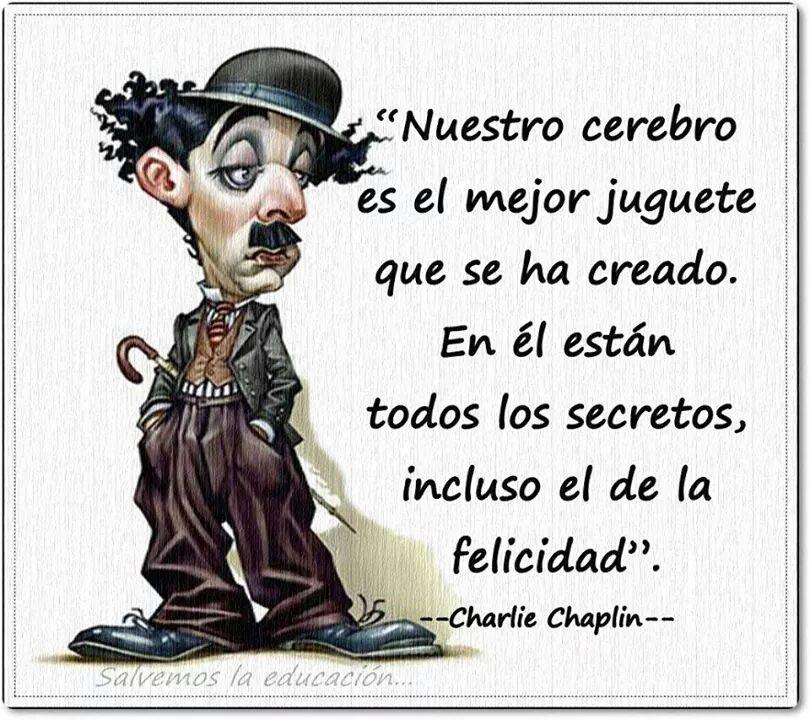  CITAS CELEBRES, DESMOTIVACIONES...... - Página 31 BxCKPxWCQAA29eF