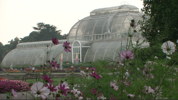 J_E_Rosa's tweet photo. A little snap from filming at #kewplantasia over the weekend. http://t.co/OlyKvVxuC8