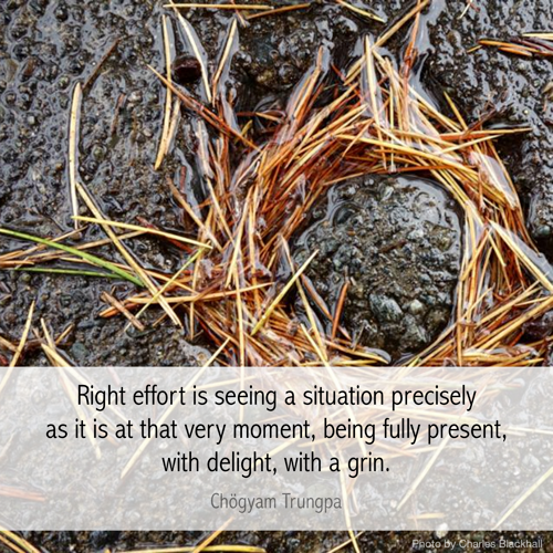 shambhalacentre's tweet photo. being fully present...
#Shambhala
#Meditation
#ChogyamTrungpaRinpoche
#BeingFullyPresent http://t.co/Kxm6Z75Rah
