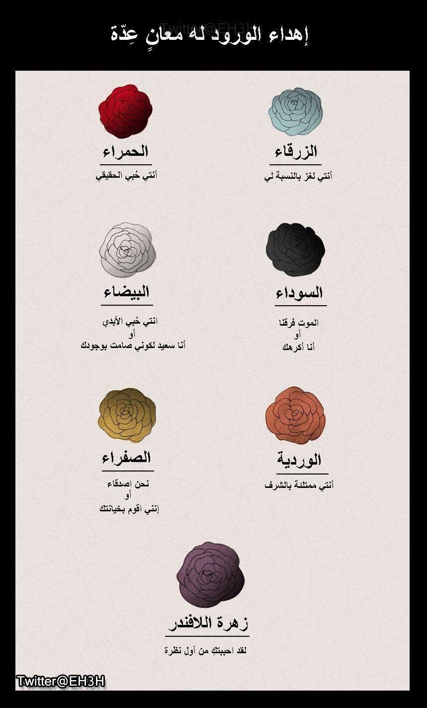 تويتر معلومة وفائدة على تويتر إهداء الورود لغز له معاني عدة متعارف عليها عالميا هذه هي http t co ggcsxbgzc1