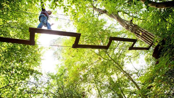 JCILiverpool's tweet photo. Tame ur inner Tarzan with an afternoon of swinging through the trees at Delamere Forest ---> https://t.co/W8FLdTNMui http://t.co/C8jqFH0BgM