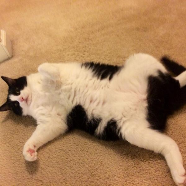 YesWeekWhitney's tweet image. The #struggle is real.