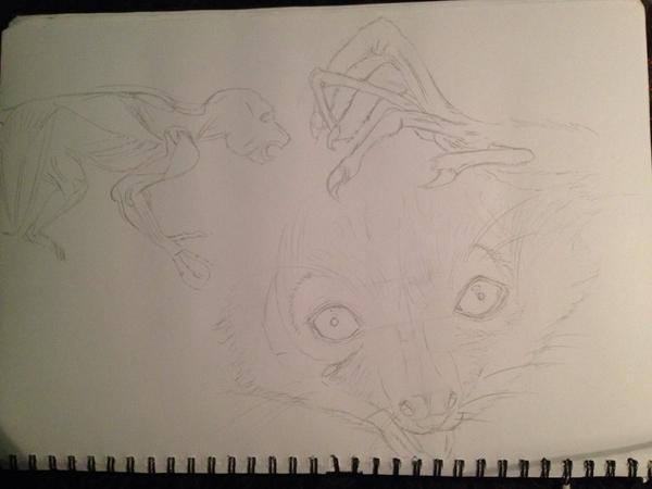RavenSongArt's tweet photo. Aye-aye studies from tonight #drawing #animals #wildlife #Madagascar #fancyanimal @ChrisOatley http://t.co/ftILDorTQk