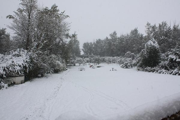 Sunexotics tweet picture