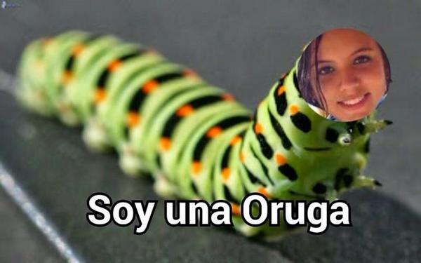 lanne_luisa's tweet photo. @luisitorey ¡Carla eres una! http://t.co/oauox7KmBN