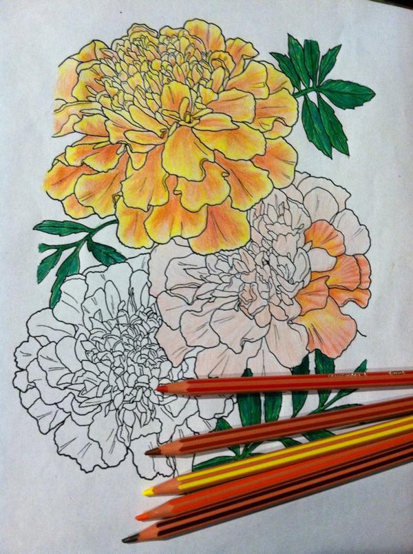 GingerSnap5656's tweet photo. Done with life time to color bye. #mondaypriorities http://t.co/FMvCwIwLlp