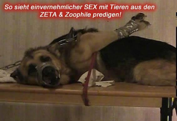 Stop #Bestiality and #CrueltytoAnimal in #Denmark.Danes having #sex with an...
