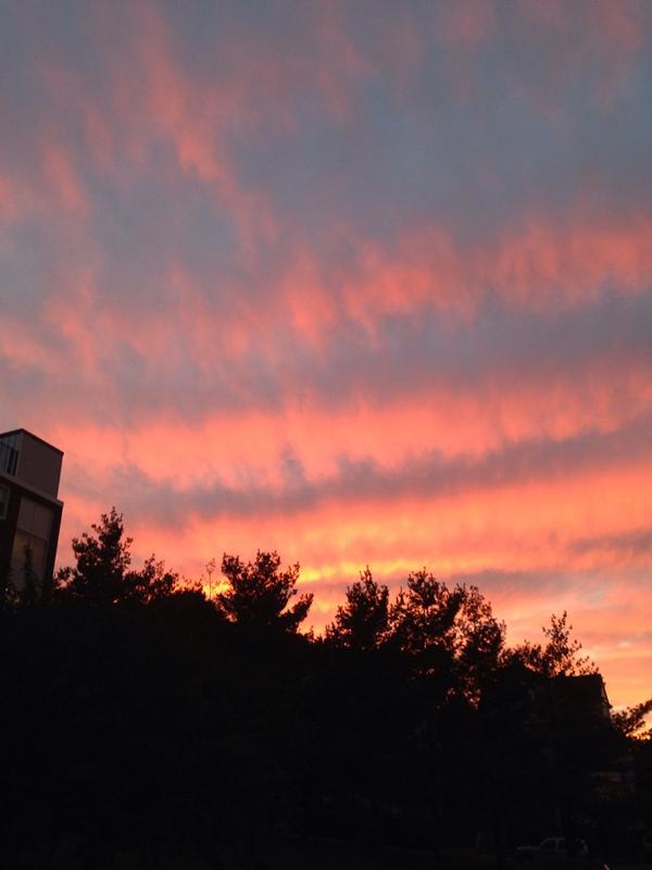 yourfavjoey's tweet photo. Do you ever just look at a beautiful sunset and think, "Damn, it feels good to be a bus"? http://t.co/W7TC3ZP0R8