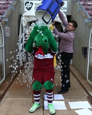 NorthamptonUK's tweet image. Cobblers mascot Clarence the Dragon takes on the Ice Bucket Challenge (VIDEO) - po.st/7GyNB3