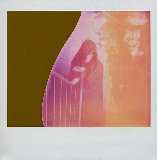 PolaroidWeek tweet picture