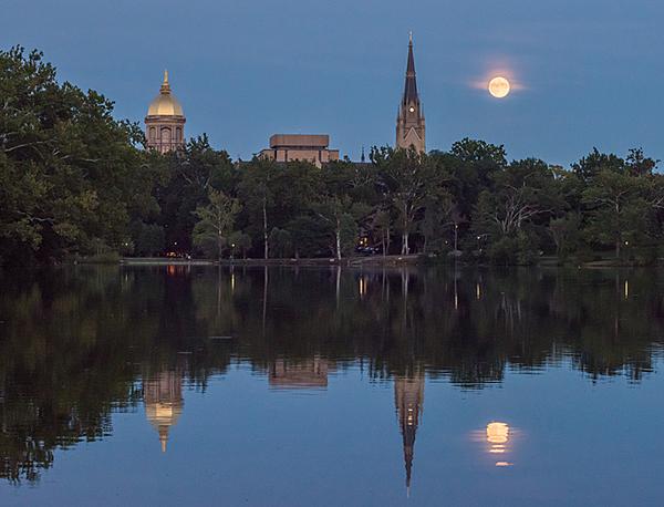 mattcashore's tweet photo. Moonrise over campus earlier tonight: http://t.co/cGlgbVqUpx