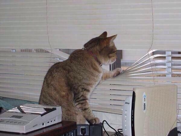 AnaGabyG02's tweet photo. Así se pone mi mamá cada vez que vienen por mí... 😂 http://t.co/mywj3qO8x9