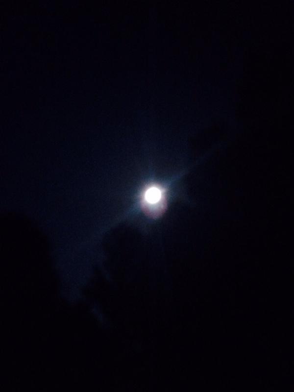 PSchiebel's tweet image. Beautiful night