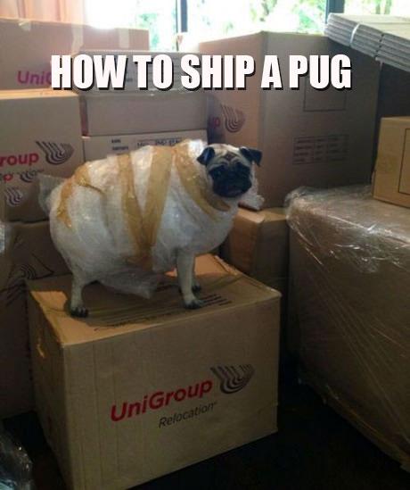 MensHumor's tweet photo. If this doesn't make your day better, I don't know what will. http://t.co/zjesx1CEgZ