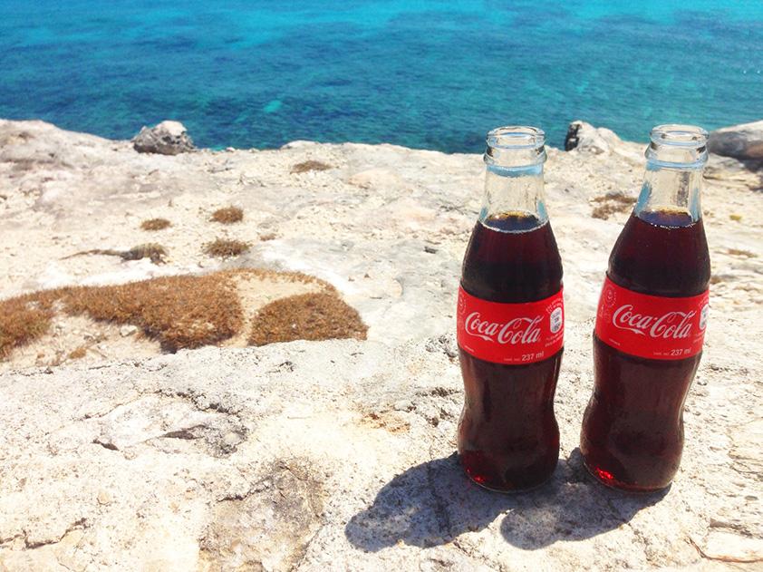 コカ コーラ 今日は世界のコカ コーラをご紹介 メキシコの綺麗な海を背景にパシャッ Qゝw この画像の中に動物が隠れているよ どこにいるかわかるかな 分かった人はリツイート Http T Co Dux4y4cqxp Twitter