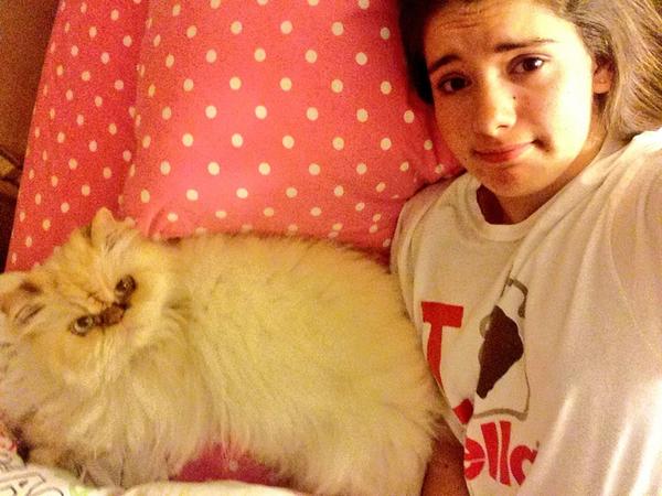 LaurenStock5's tweet photo. Thanks for leaving me some room in the bed... #icangetmycattolookatthecamera #fallingoffthebed #squished #catprobs http://t.co/immjy4k1FX