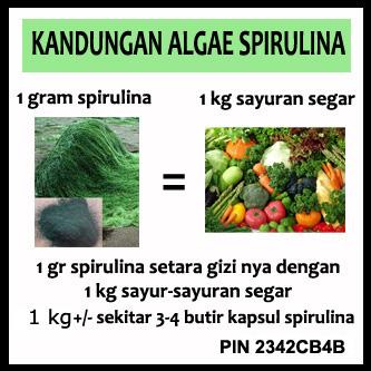 Kulit wajah itu perlu nutrisi yang tepat agar sehat dan cantik