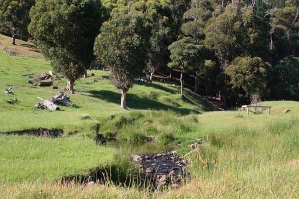 CanopyCamping's tweet photo. Loving our brand new #glamping site at Lavericks Bay, Banks Peninsula! Time to book that break! http://t.co/x5hKo22g3U