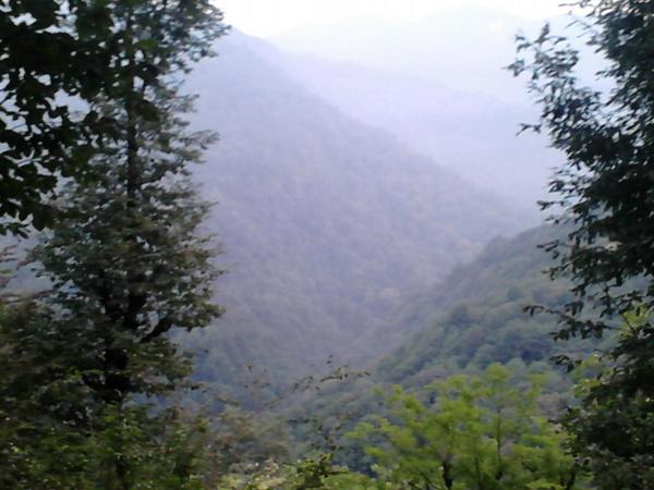 اجعل حياتك دائما.بين شكر وصبر.. فستجد من الله فوق ماتدعو..وتنتظر