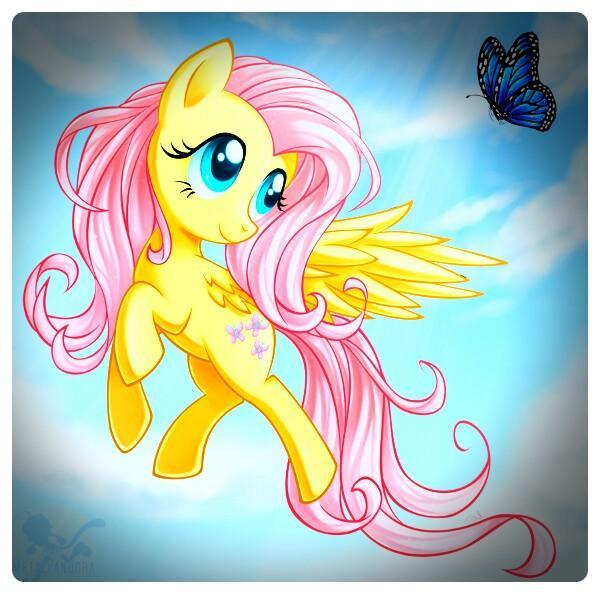 FlutterPlusShy's tweet image. 