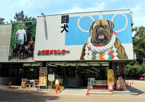 汽笛裕蔵 行きたすぎる Bii Men 高知 土佐闘犬センター 土佐犬パークと名称変更 土佐闘犬の歴史を学習できる 横綱 土佐犬の土俵入りや土佐犬同士の闘いが見学できる 仔犬と触れ合えるコーナーも 土佐犬は高知県天然記念物 Http T Co Kllvcejpsm