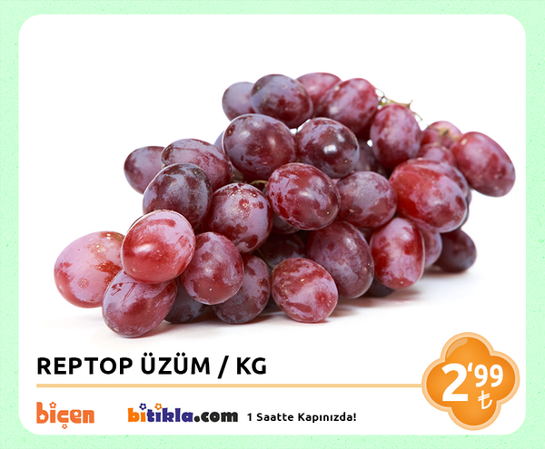 Bicenmarket's tweet photo. #Manav Reyonumuzda Bugün; #Reptop #Üzüm KG 2,99₺ Ayrıca #Bitıkla http://t.co/Cy7qXxiVzt 'la 1 Saatte kapınızda. http://t.co/pwwX8my4WS