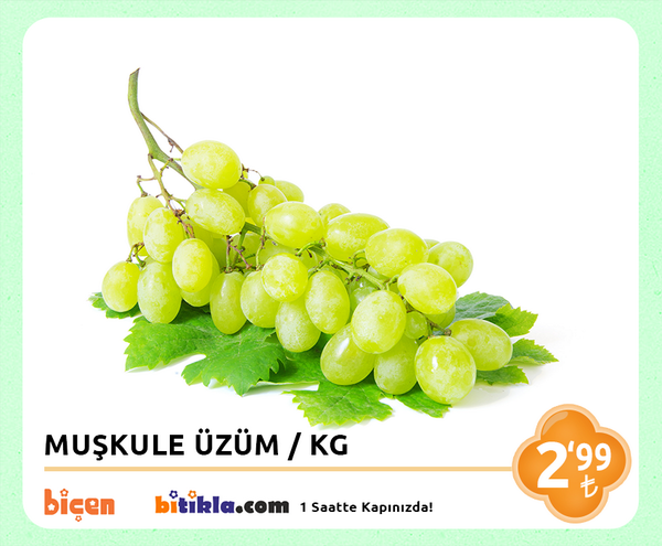 Bicenmarket's tweet photo. #Manav Reyonumuzda Bugün; #Muskule #Üzüm KG 2,99₺ Ayrıca #Bitıkla http://t.co/Cy7qXxiVzt 'la 1 Saatte kapınızda. http://t.co/pjcoxpBvgl