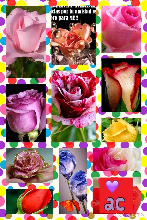 anna49cecy's tweet photo. @Cibeles_Sol_60 @EuridiceGuerra @stella44173164 @erysabela @johanny_rm @ccalatrava @dra_winny 
#HermosoMartes #Amigas http://t.co/QQ7uAezTt2