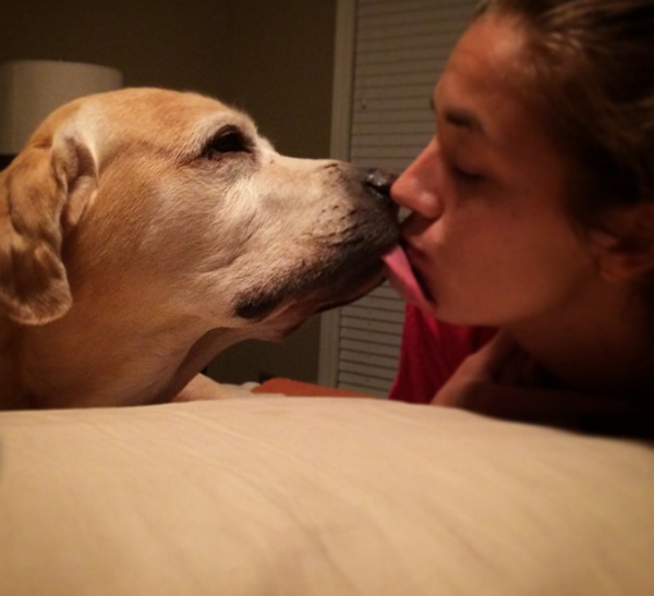 HunterYellowLab's tweet photo. Giving my mommy kisses. She is taking extra good care of me while we wait for my abscessed tooth to go down http://t.co/CgfWad0mtr