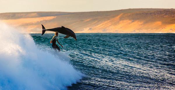 This is how to do it!! - Photograph by MATT HUTTON