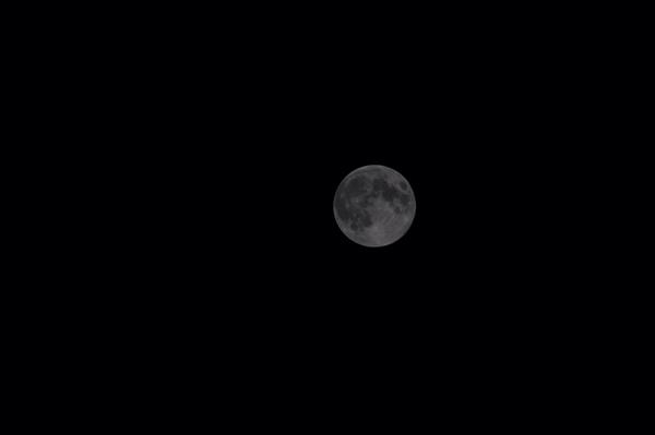 For6ivenKing's tweet photo. @Evansweather #supermoon http://t.co/tQ6iyI3qbc