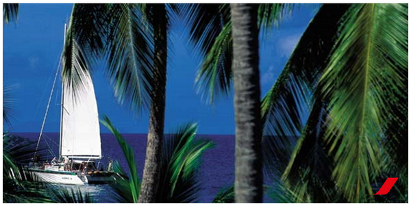 AirFranceFR's tweet photo. Ne faites pas attendre les îles de la #Guadeloupe ! #PointeàPitre en #promoAF dès 469 € http://t.co/OicxupURlY http://t.co/tmj64F3ThI