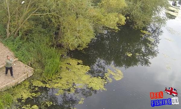 Spomb full of carp company Ice reds on its way to a nice whole in the weed at Farlows Lake