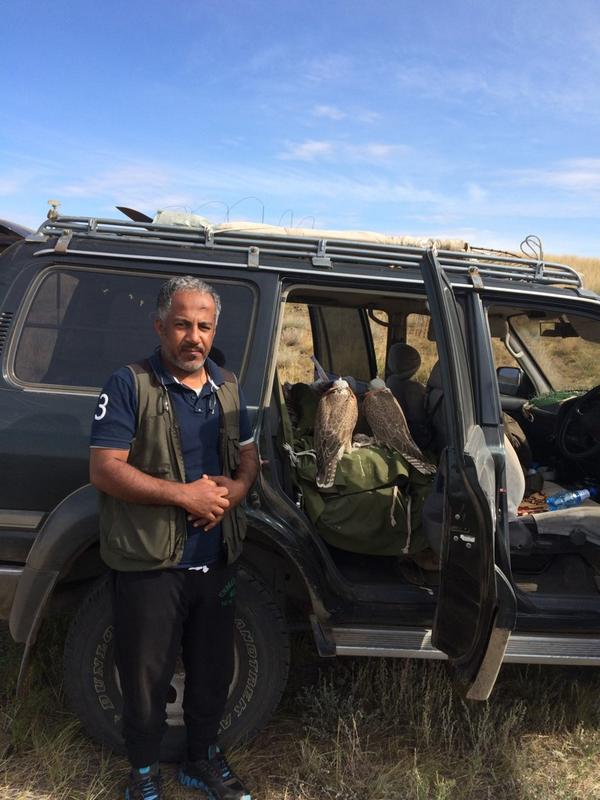 طرح السنه منغوليا ٧-٩-٢٠١٤