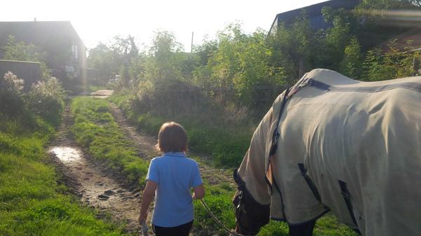 APeventing's tweet photo. This amazing horse never ceases to amaze me! I am not sure who was looking after whom...love them both!! http://t.co/bjnHV7Ytny