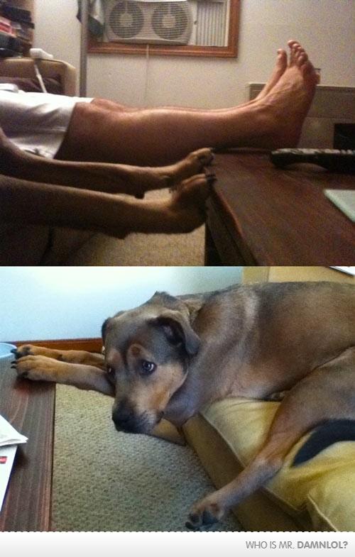 I Learned It By Watching You. #funny #lol #medialand