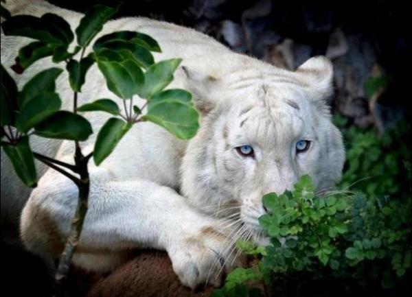 "<a href="/SimoneAlbuque10/">#FOTOCENTER# e #Ops#</a>: @LUCHOMEJIAH obrigada "