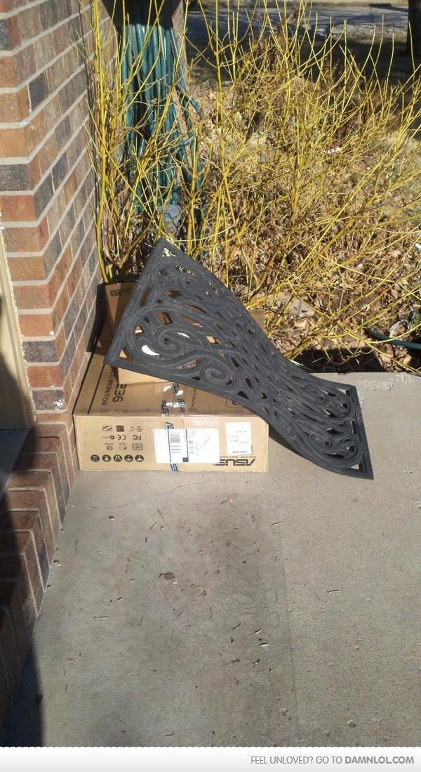 UPS Masters Of Package Stealth #funny #lol #medialand