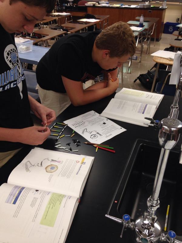 sciencelite's tweet photo. Creating a model of DNA @Mcdanielsbio #darbybio http://t.co/xe1CcpNVfi